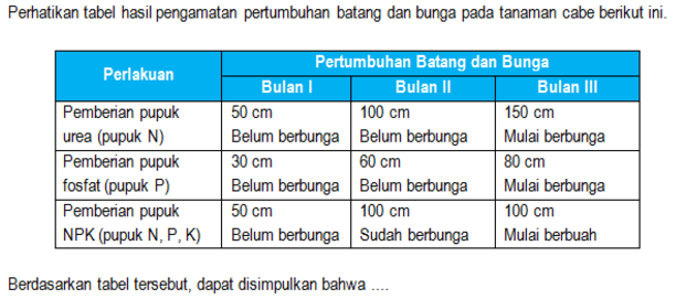 Bingung Mau Belajar Apa Buat UN Biologi SMA? Yuk, Atur Skala Prioritas Belajarmu!