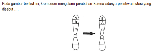 Bingung Mau Belajar Apa Buat UN Biologi SMA? Yuk, Atur Skala Prioritas Belajarmu!