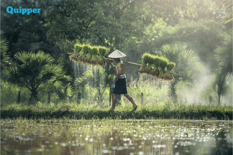 Pembahasan Mengenai Stratifikasi Sosial Kontemporer