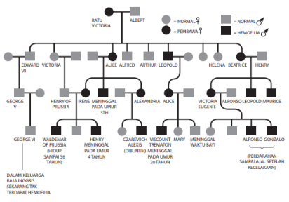 Hereditas contoh pedigree - Capture4