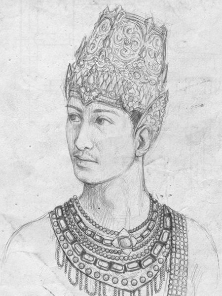 ilustrasi atau gambar hayam wuruk