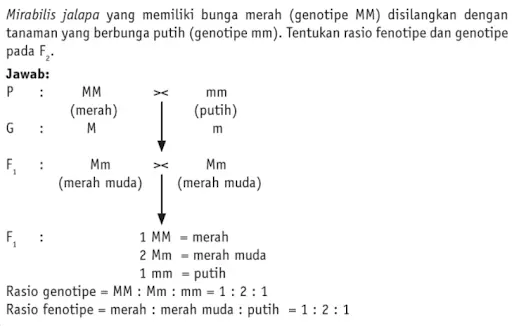 Intermediet dalam penyimpangan semu Hukum Mendel